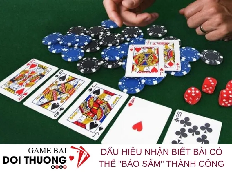 Dấu hiệu nhận biết bài có thể Báo Sâm thành công